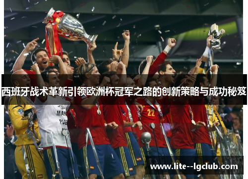西班牙战术革新引领欧洲杯冠军之路的创新策略与成功秘笈