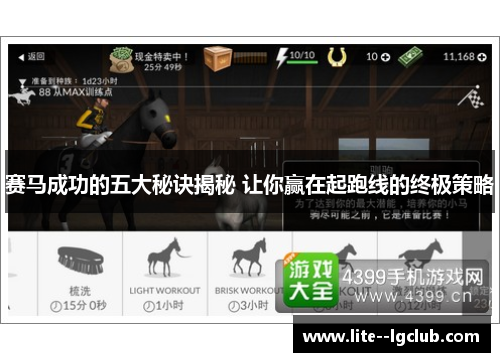 赛马成功的五大秘诀揭秘 让你赢在起跑线的终极策略