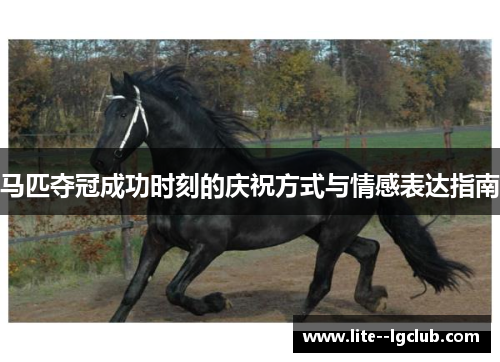 马匹夺冠成功时刻的庆祝方式与情感表达指南